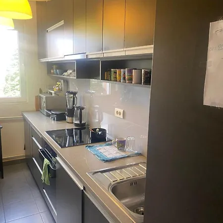 Lux Apartment Belgrade