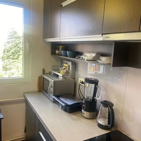 Lux Apartment